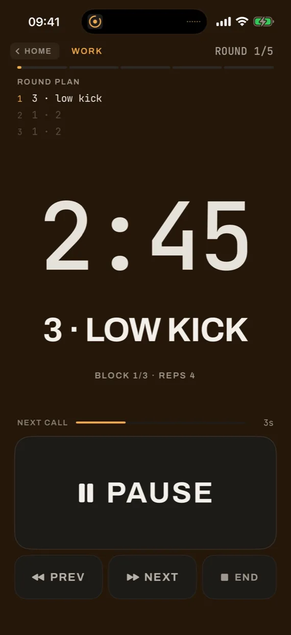 The live screen: round one of five, two minutes forty-five on the clock, the call reading 3 · LOW KICK, and a bar counting down to the next call.